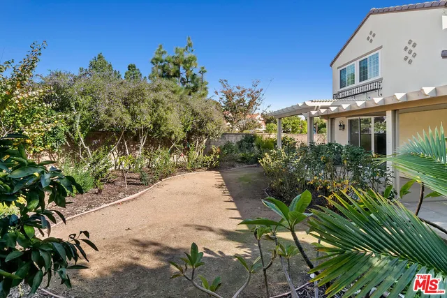 a view of a yard with plants and trees