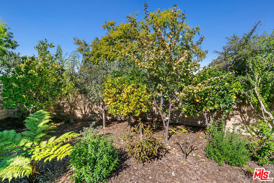 291 Santa Susana Road Camarillo, CA 93010 - Photo 26 of 32 a backyard of a house with lots of green space