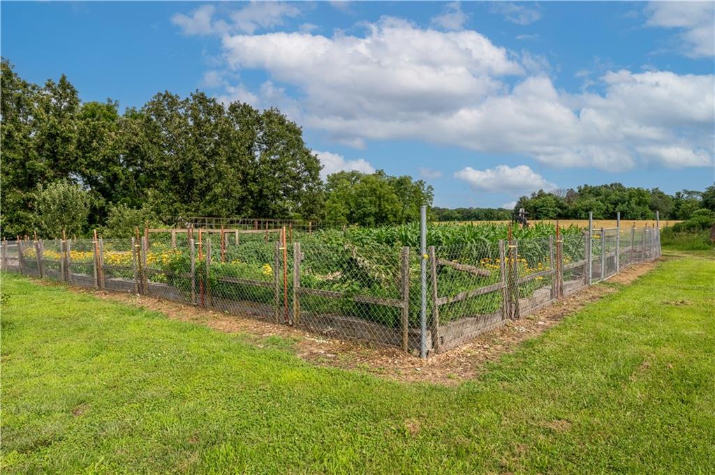 32338 Bunker Hill Road Mora, MO 65345 - Photo 4 of 25