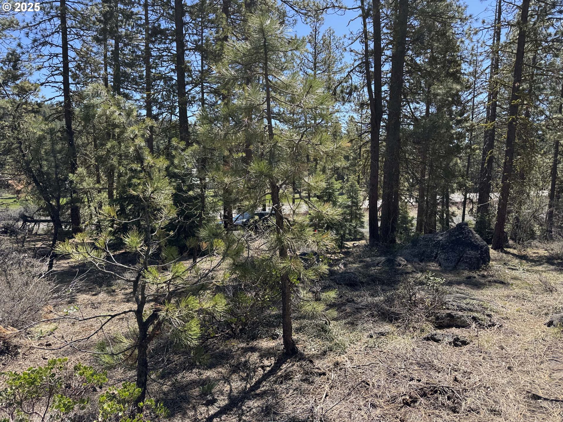 Horned Owl Lane Bonanza, OR 97623 - Photo 19 of 44