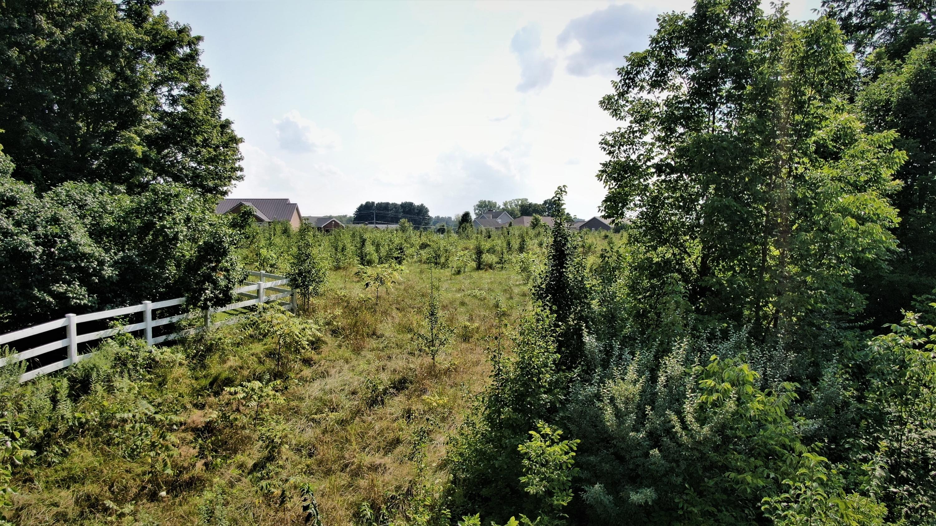 0 Bolender Pontious Road Circleville, OH 43113 - Photo 15 of 23 Gallery Image 15
