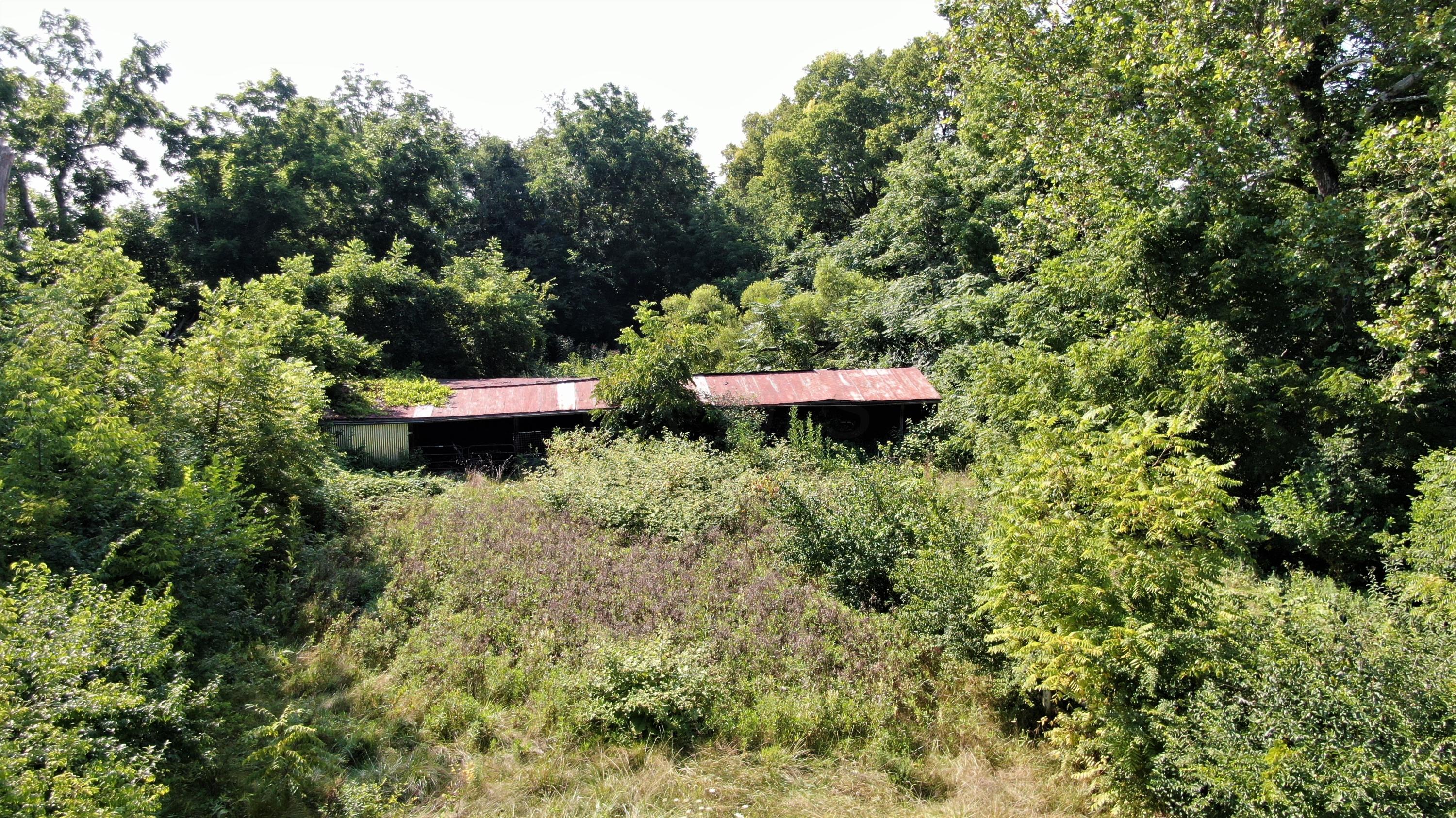 0 Bolender Pontious Road Circleville, OH 43113 - Photo 20 of 23 Gallery Image 20