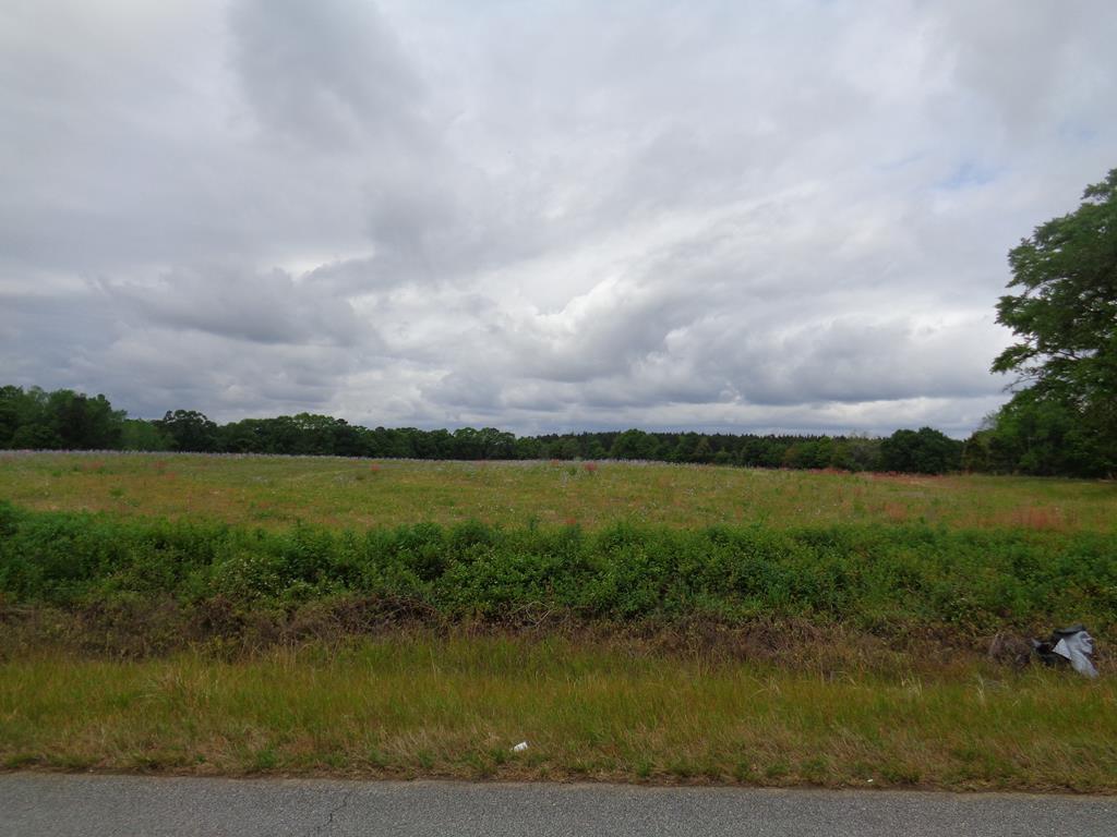 6600 Lot 11 Eddins Road Dothan, AL 36301 - Photo 1 of 1