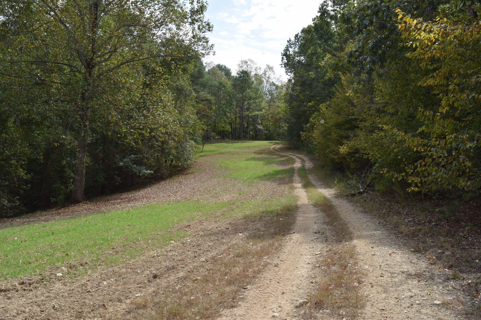 1233 Cates Road Lawrenceburg, TN 38464 - Photo 22 of 44
