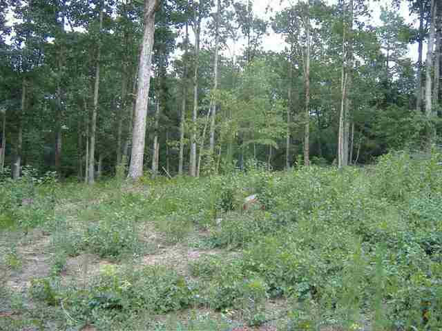 0 Dudley Collins Road Royston, GA 30662 - Photo 1 of 6