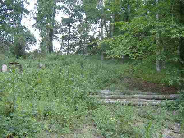 0 Dudley Collins Road Royston, GA 30662 - Photo 2 of 6