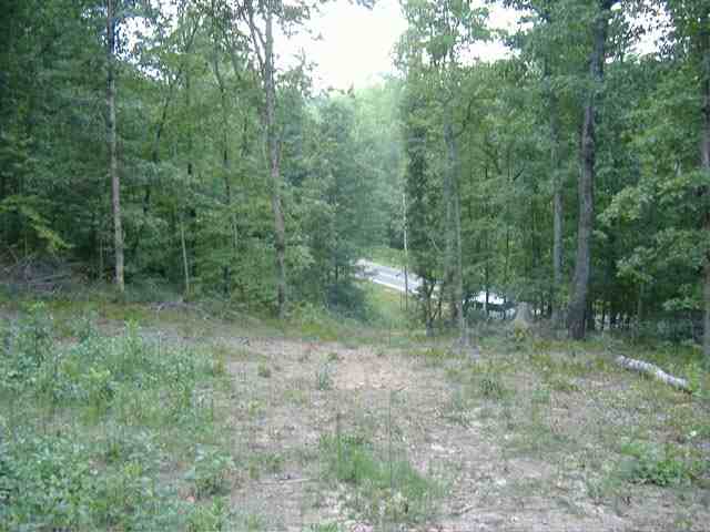 0 Dudley Collins Road Royston, GA 30662 - Photo 3 of 6
