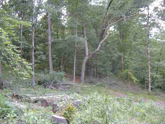0 Dudley Collins Road Royston, GA 30662 - Photo 4 of 6