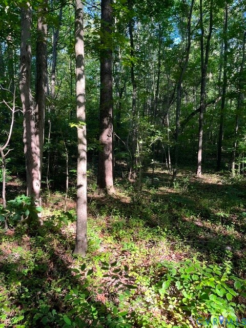 16117 West Patrick Henry Road Montpelier, VA 23192 - Photo 2 of 10