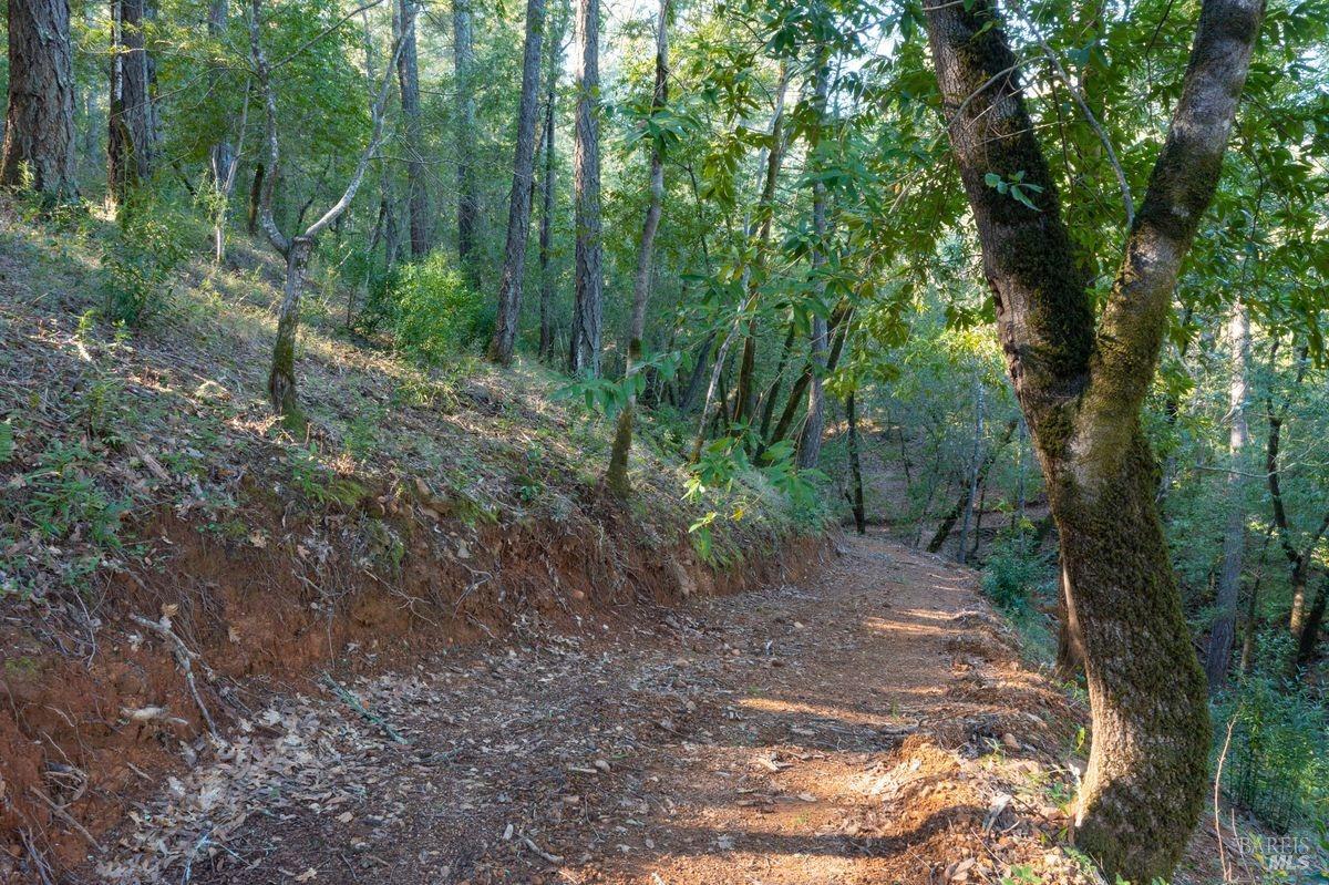 3210 West Dry Creek Road Healdsburg, CA 95448 - Photo 12 of 31