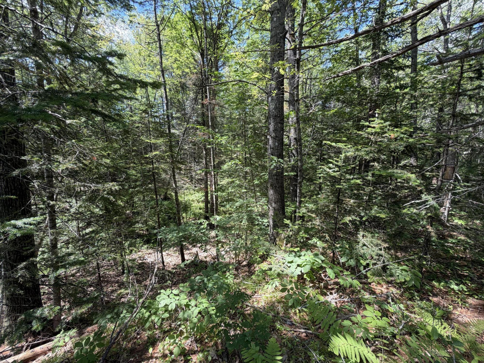 Lot R05129 Polly Clark Brook Wiscasset, ME 04578 - Photo 2 of 9 Lot R05129 Polly Clark Brook, Wiscasset