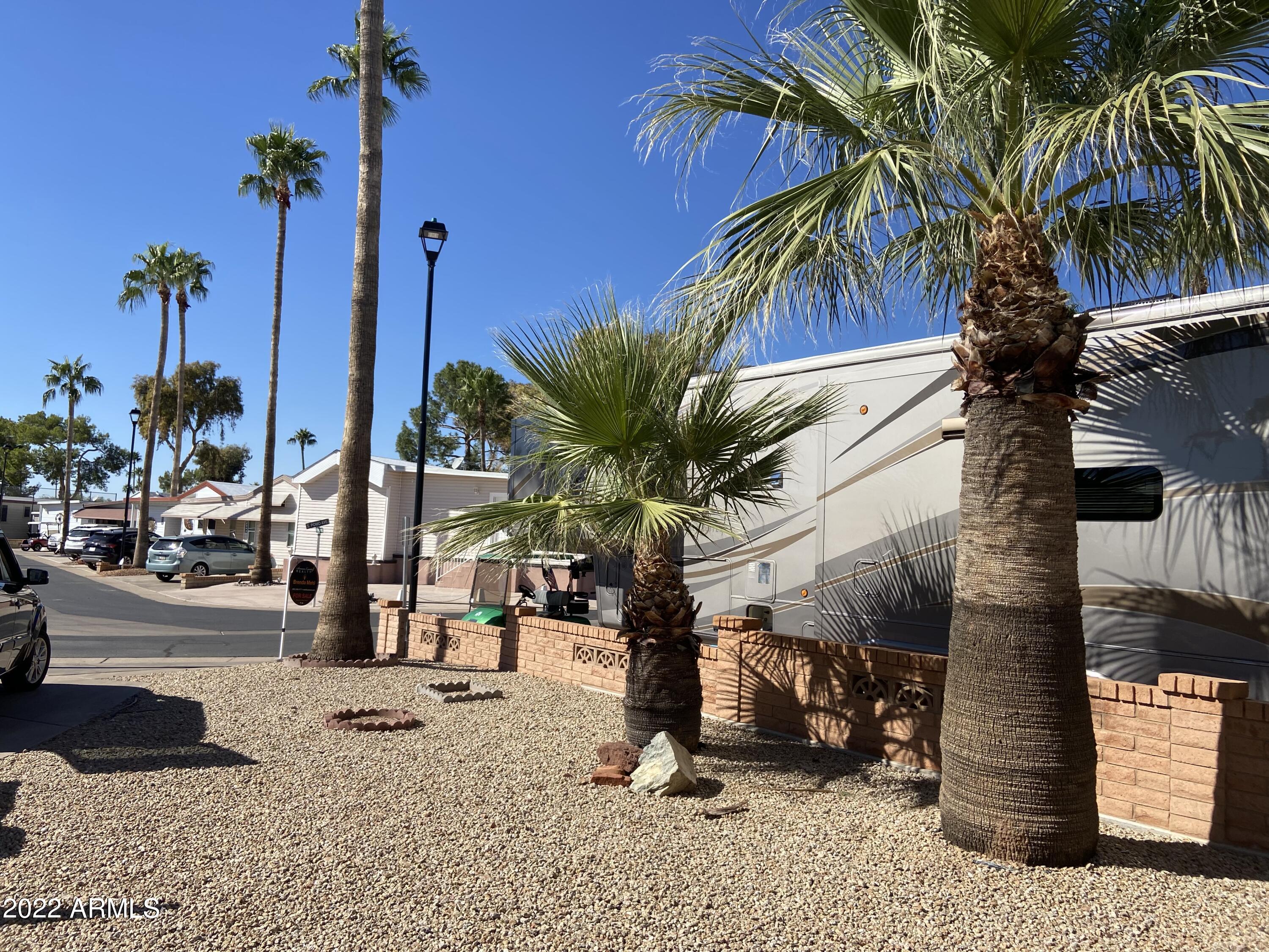 2323 South Pomo Avenue Apache Junction, AZ 85119 - Photo 35 of 42 a view of a palm tree with a table and chairs