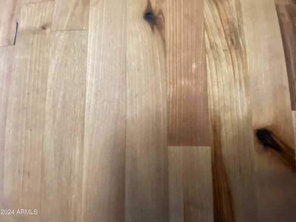 a close view of shower curtain