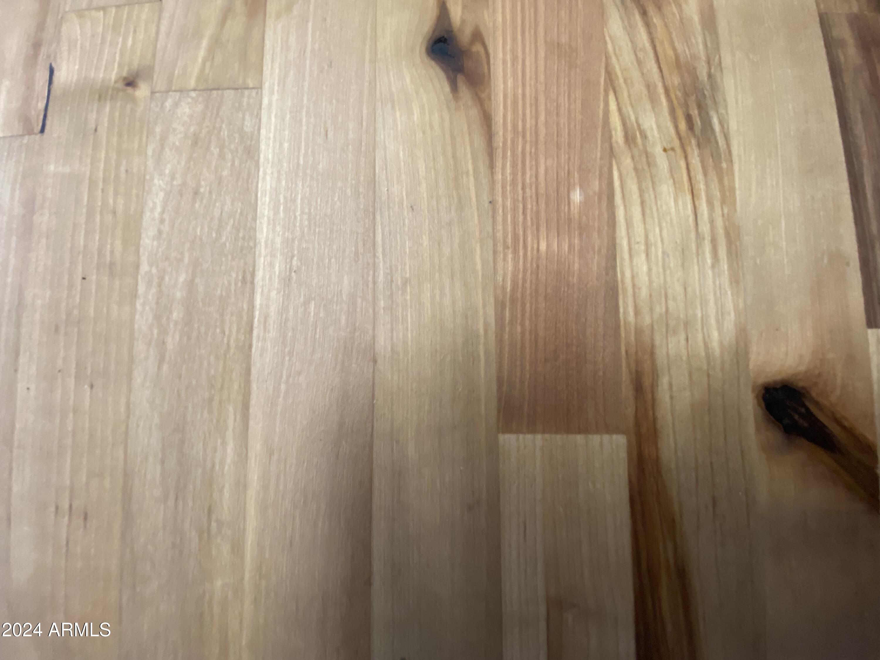 2323 South Pomo Avenue Apache Junction, AZ 85119 - Photo 7 of 42 a close view of shower curtain