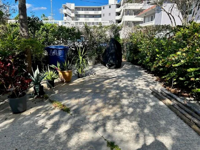 a view of a bunch of plants and trees