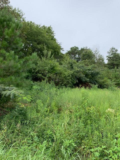 Lot # Southwest Bancroft Road McDonald, TN 37353 - Photo 2 of 3 Bancroft Lot 1 2
