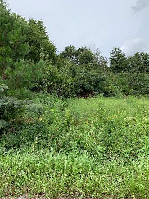 Lot # Southwest Bancroft Road McDonald, TN 37353 - Photo 3 of 3 Bancroft Lot 1