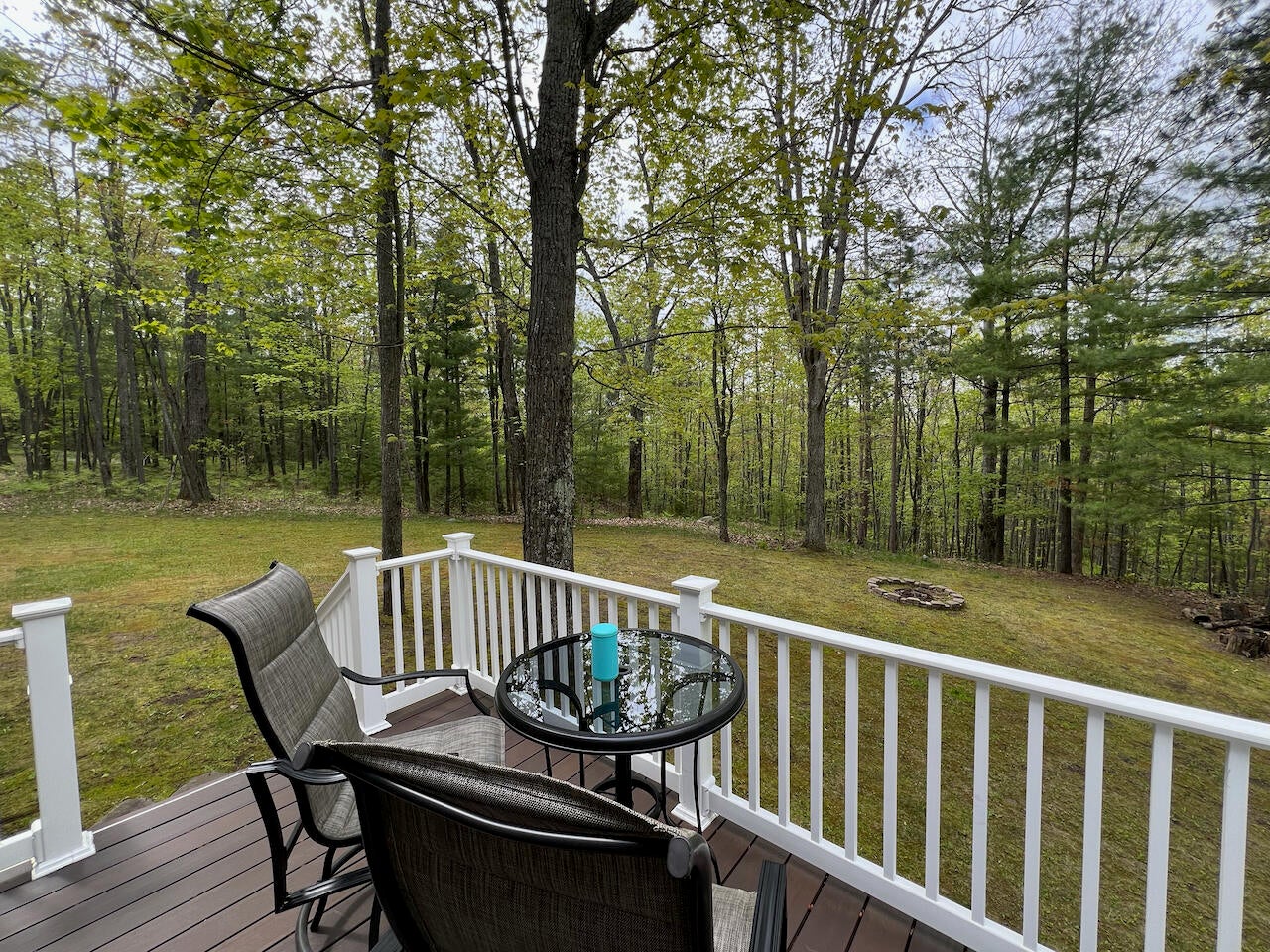 1766 Chippewa Beach Road Indian River, MI 49749 - Photo 4 of 29 Gallery Image 4