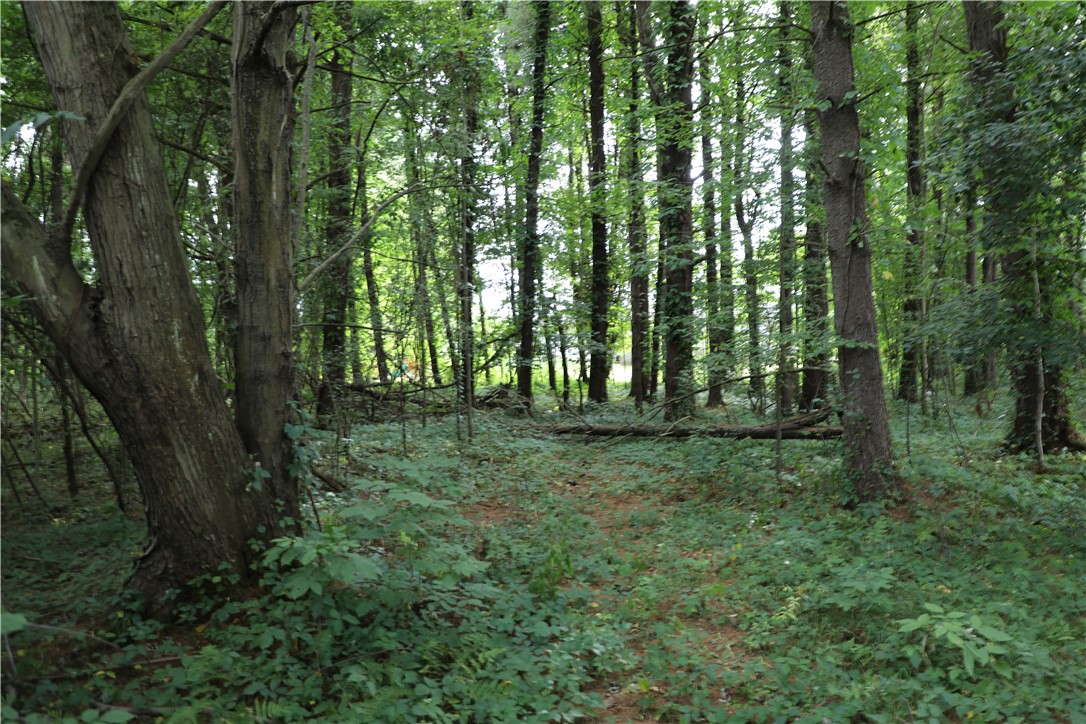 7422 Robinson Road Throop, NY 13021 - Photo 45 of 50