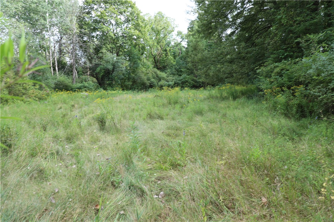 7422 Robinson Road Throop, NY 13021 - Photo 46 of 50