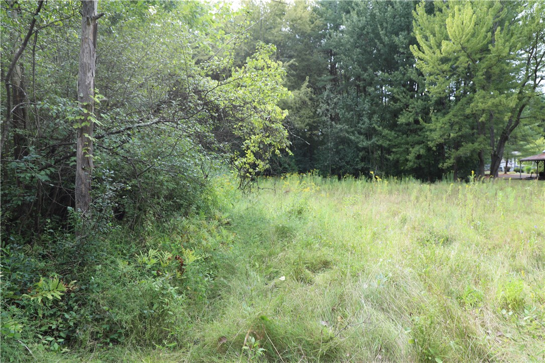 7422 Robinson Road Throop, NY 13021 - Photo 47 of 50