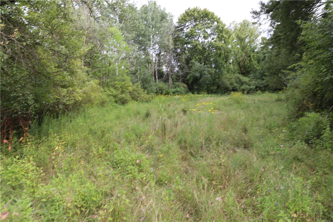 7422 Robinson Road Throop, NY 13021 - Photo 49 of 50