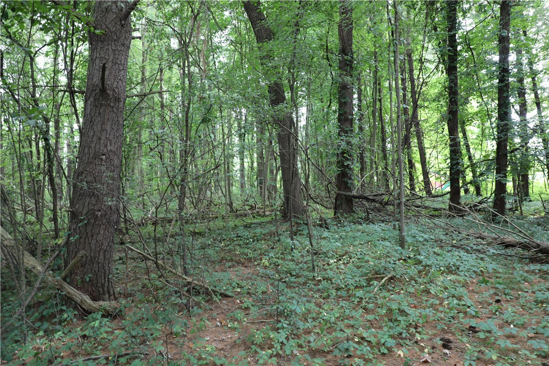 7422 Robinson Road Throop, NY 13021 - Photo 50 of 50