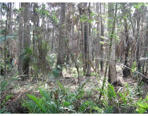 Alco Road Astor, FL 32102 - Photo 1 of 1 Land