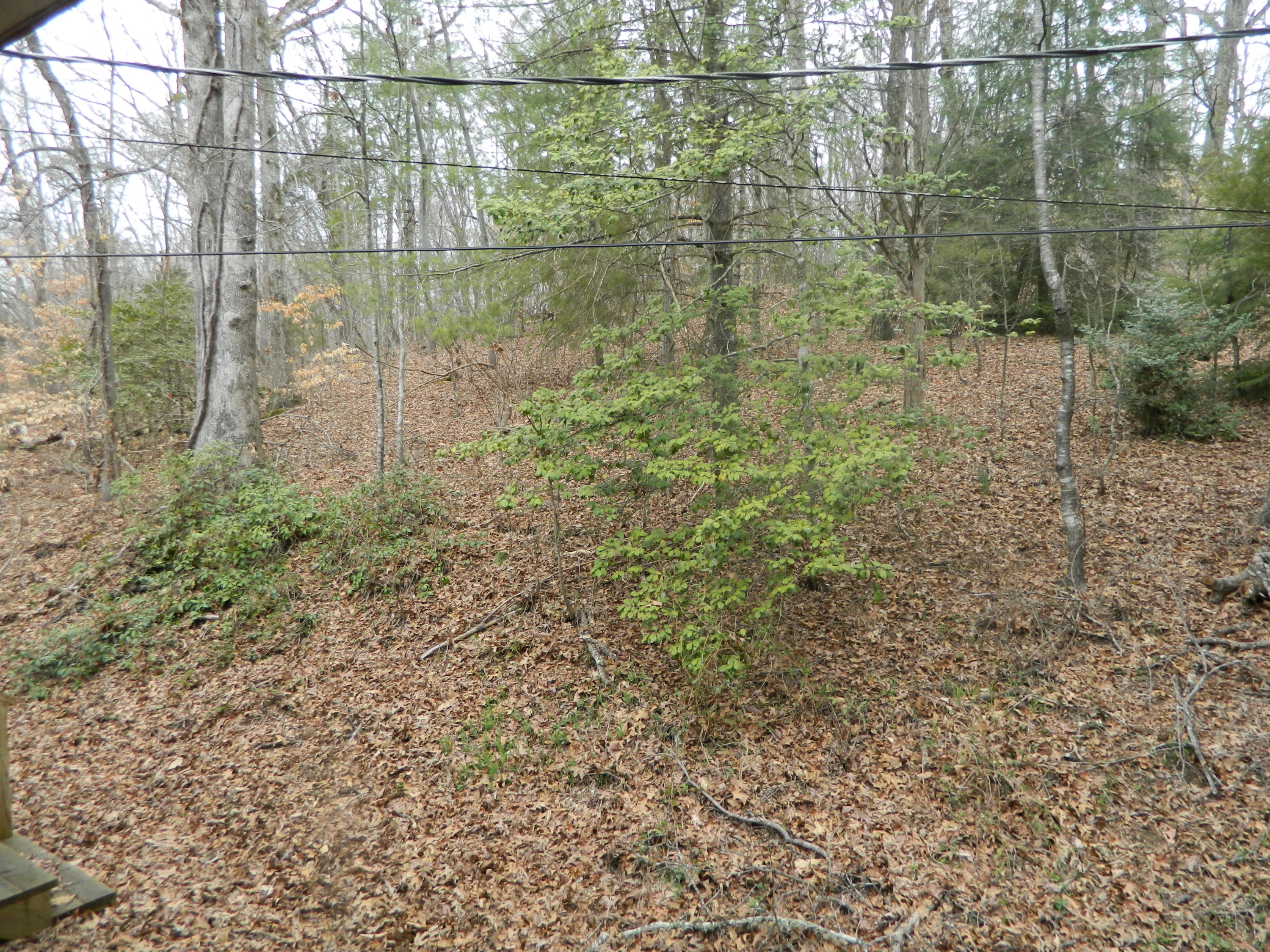 2790 Oak Ridge Turnpike Oak Ridge, TN 37830 - Photo 14 of 17 DSCN2976.JPG