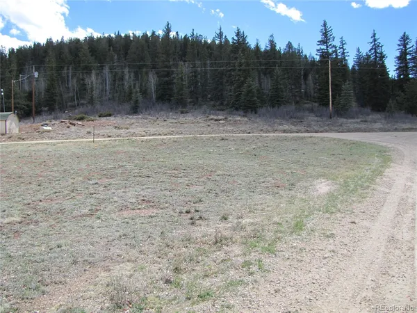 $63,000 | 122 Coach Lane, Fairplay, CO 80440