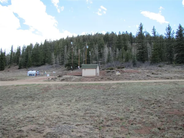 $63,000 | 122 Coach Lane, Fairplay, CO 80440