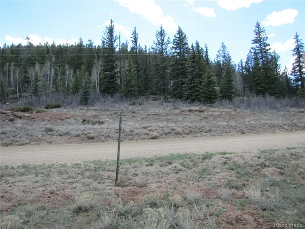 $63,000 | 122 Coach Lane, Fairplay, CO 80440