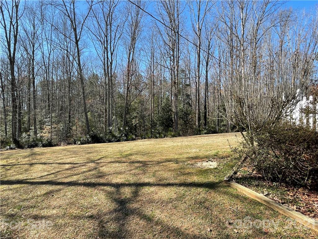 180 Watergate Drive Alexis, NC 28006 - Photo 10 of 40 a view of empty space and tree