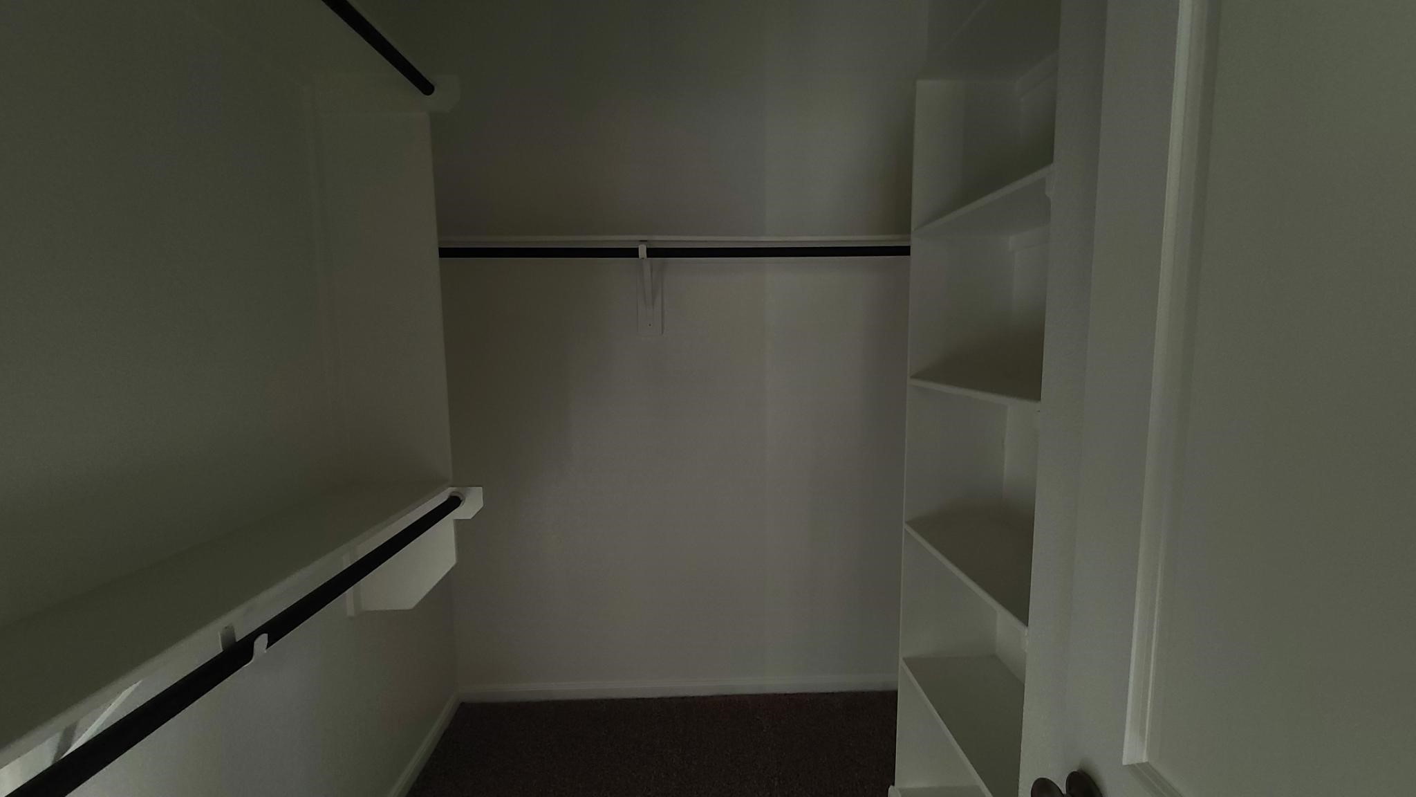 4241 Merry Mill Drive Spring, TX 77386 - Photo 9 of 13 Master Walk in Closet