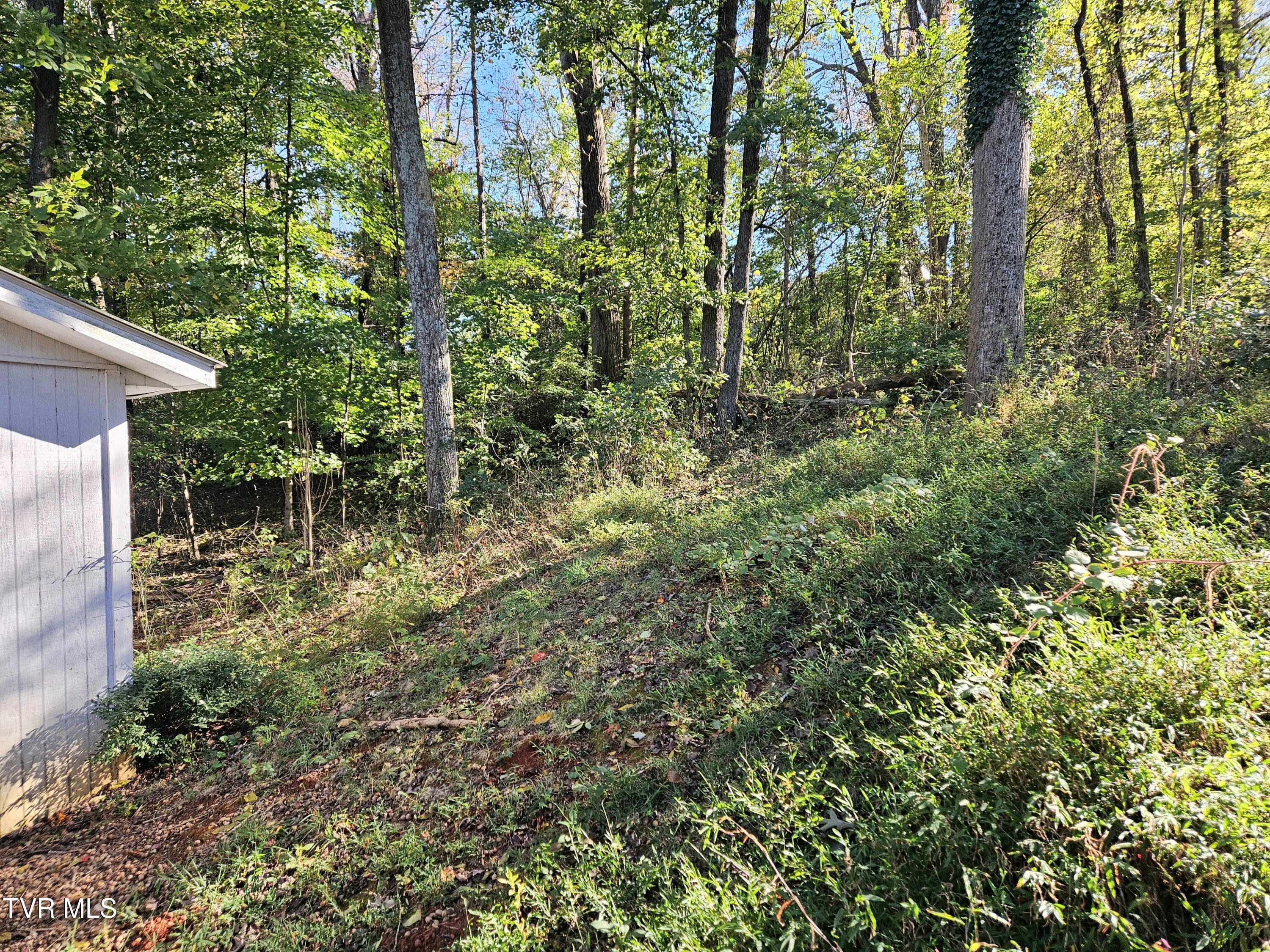 149 Sherwood Circle Ridgeway, VA 24148 - Photo 35 of 39 Backyardhill