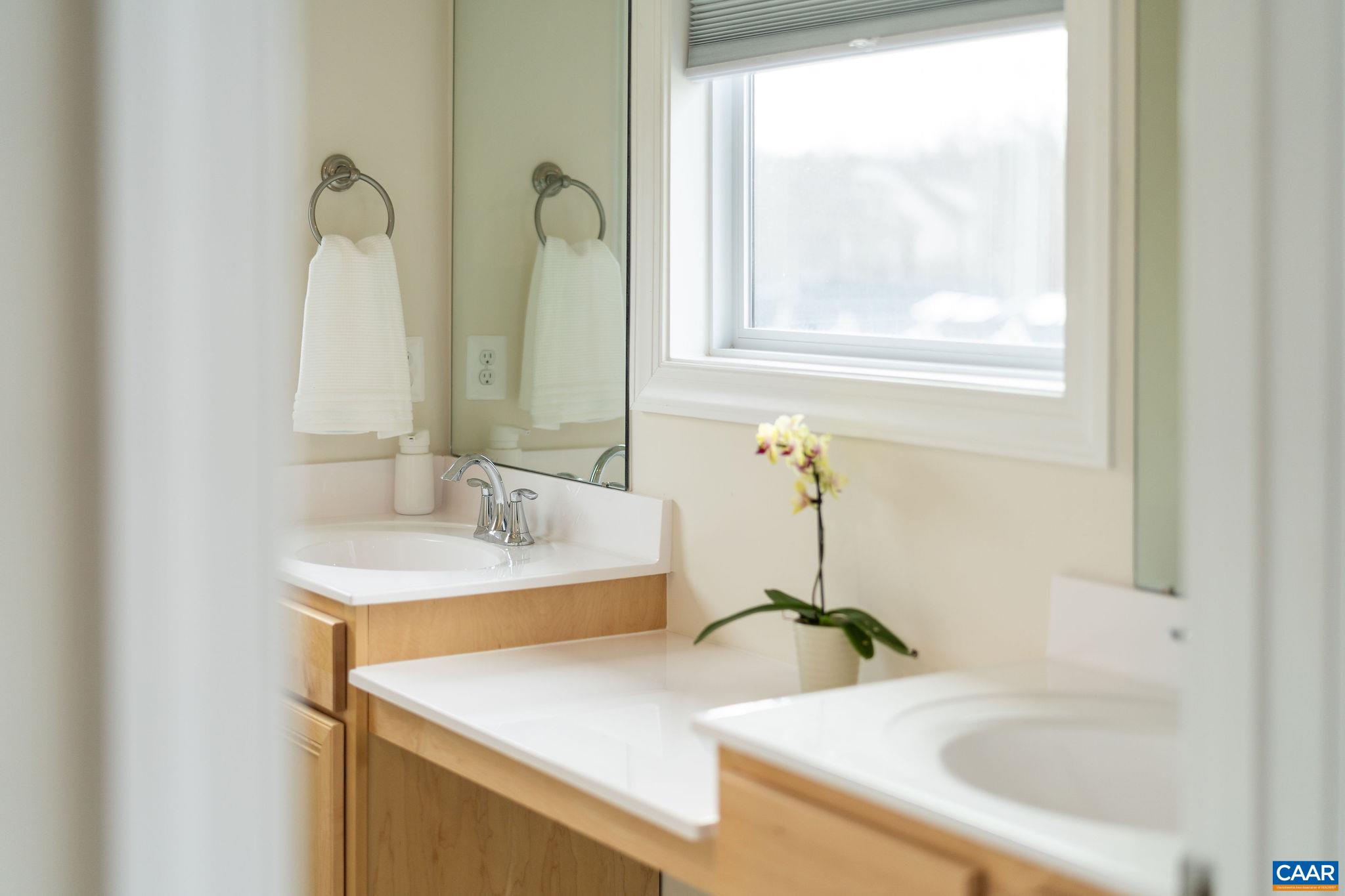 3177 Horizon Road Charlottesville, VA 22902 - Photo 15 of 34 dual vanity