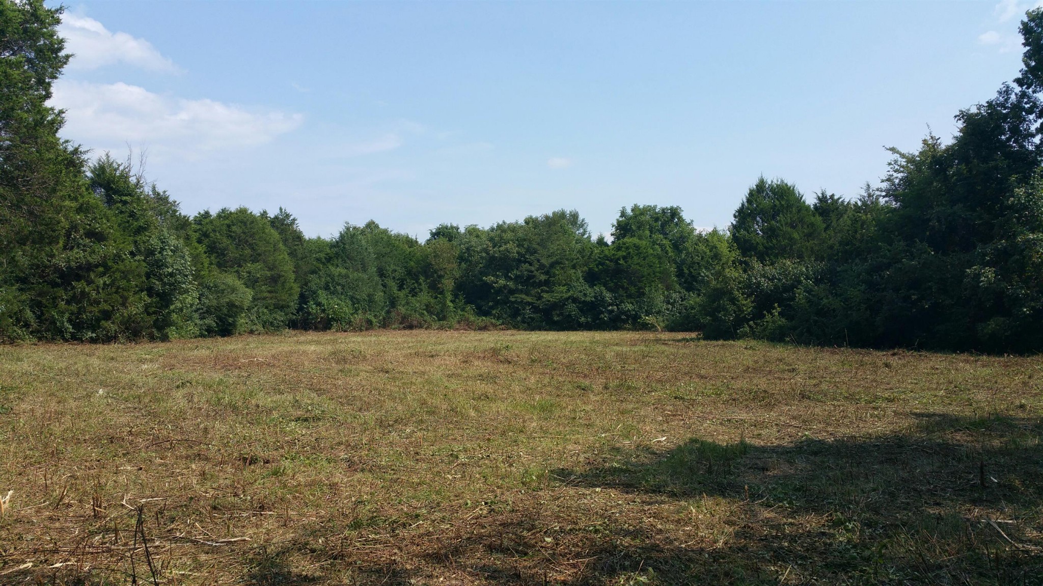 1 John Windrow Road Eagleville, TN 37060 - Photo 1 of 3 Gallery Image 1