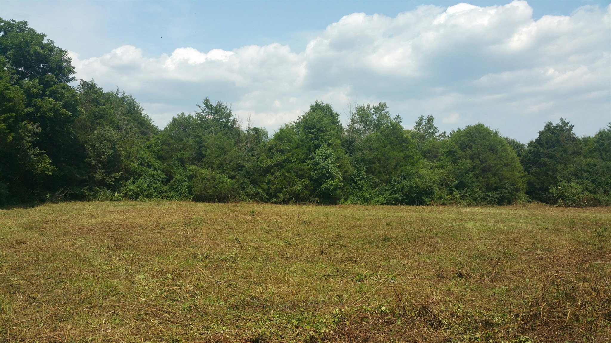 1 John Windrow Road Eagleville, TN 37060 - Photo 3 of 3 Gallery Image 3