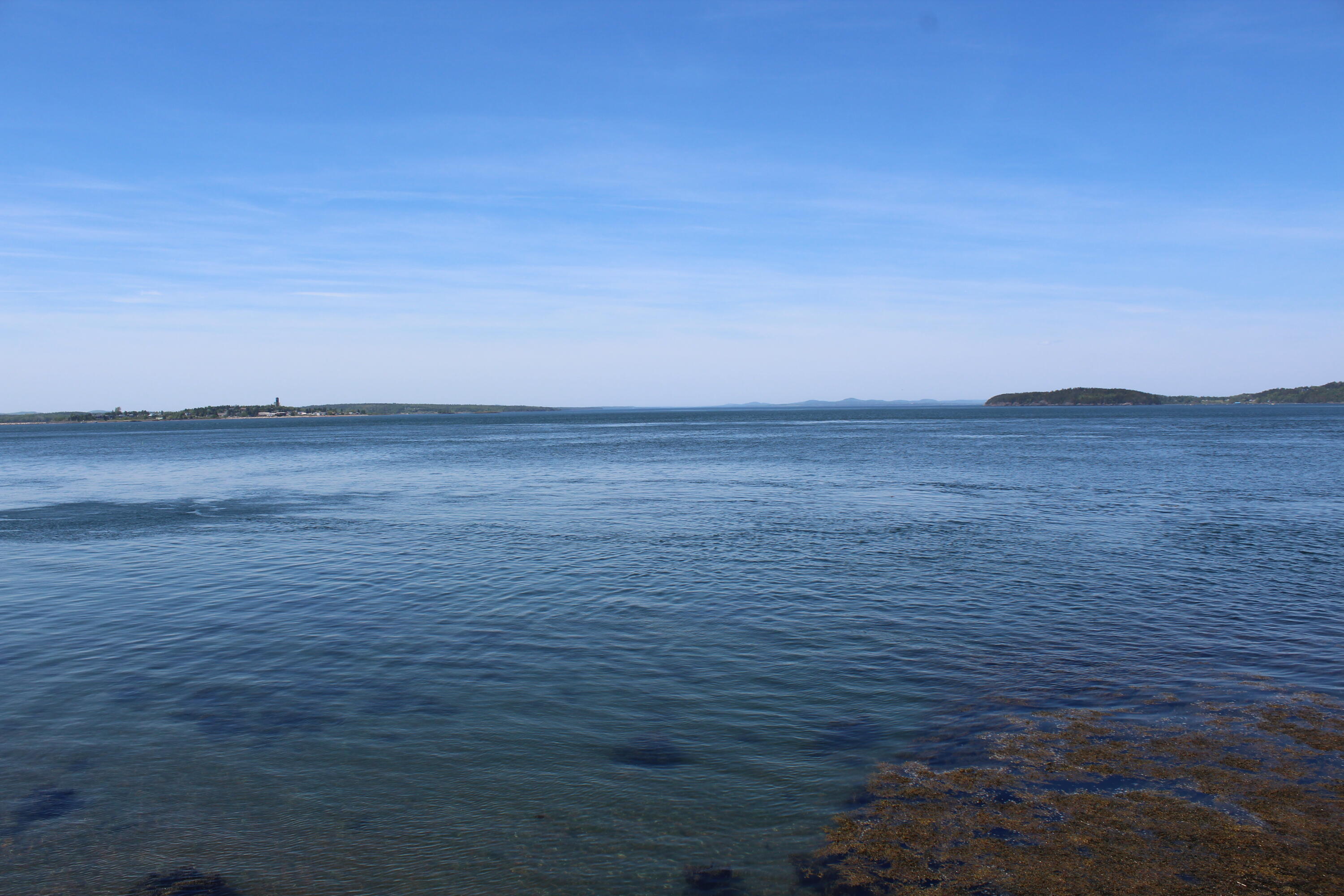 45 Kendall Head Road Eastport, ME 04631 - Photo 81 of 117 IMG_7055