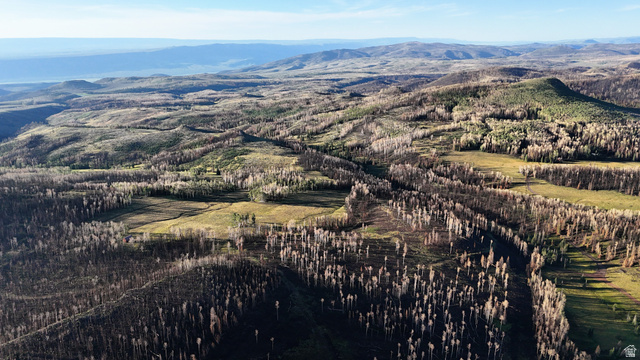 123 Tbd Monroe Canyon Road Monroe, UT 84754 - Photo 47 of 92 Expansive undeveloped land featuring varied terrain, including wooded areas and open fields