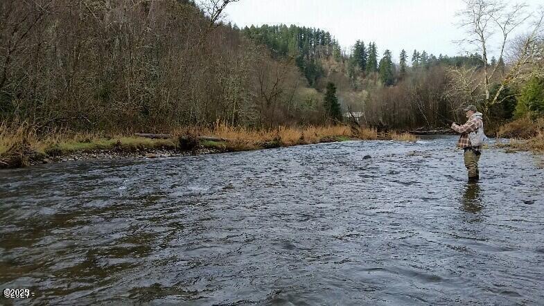 Three Three Rivers Highway Hebo, OR 97122 - Photo 4 of 11 river, west