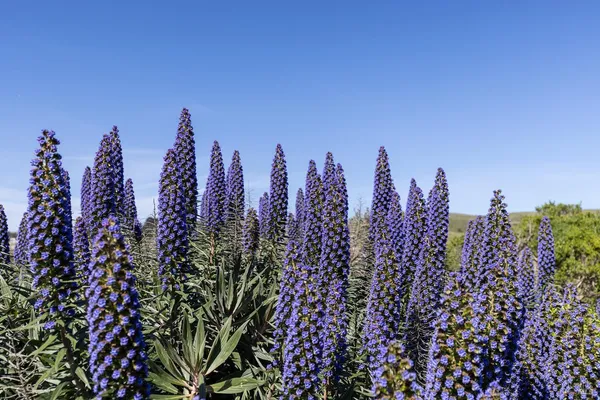$999,000 | 19909 Heron Drive, Bodega Bay, CA 94923