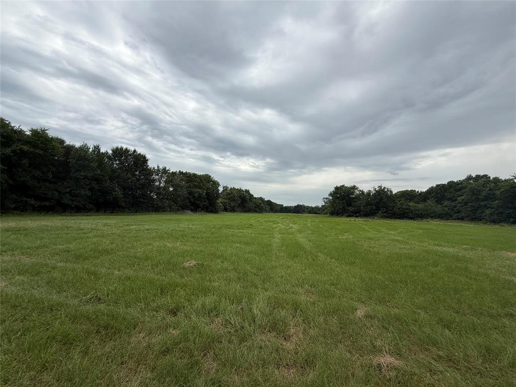 313 Co Road Terrell, TX 75161 - Photo 6 of 7