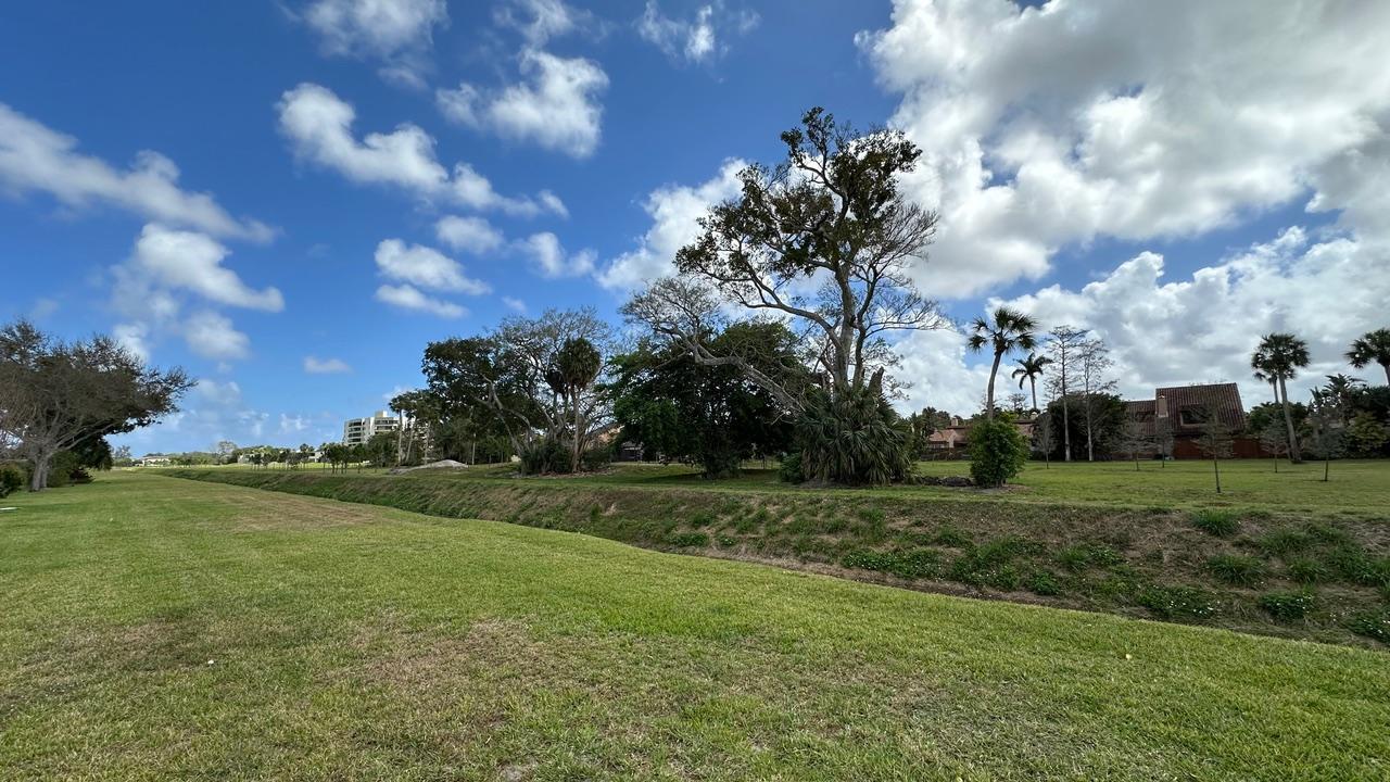 6594 Casabella Lane Boca Raton, FL 33433 - Photo 4 of 28 a view of a big yard with plants and large trees