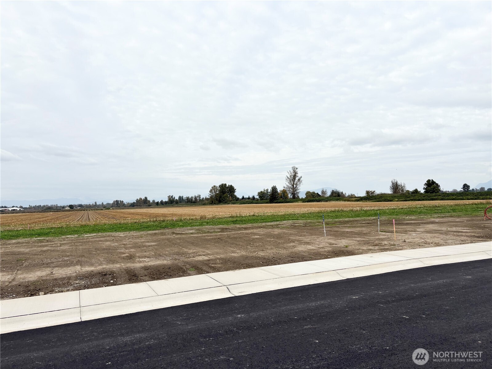 416 West 3rd Street Everson, WA 98247 - Photo 2 of 14