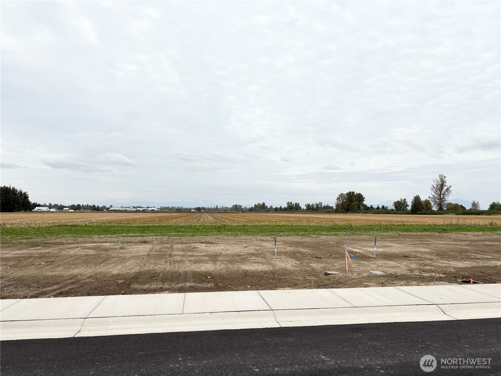 416 West 3rd Street Everson, WA 98247 - Photo 9 of 14