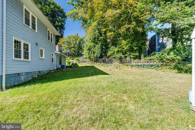a view of a backyard with plants and large trees