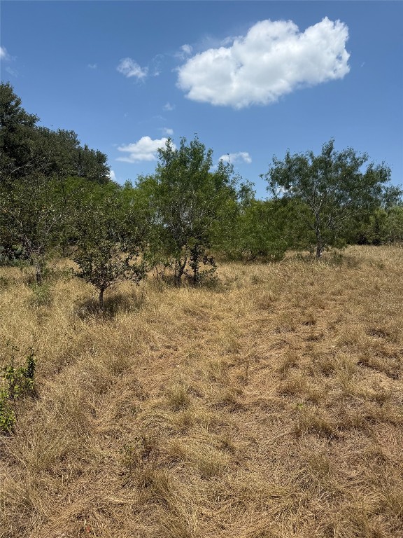 8400 Pettytown Road Red Rock, TX 78662 - Photo 1 of 1 Medium trees