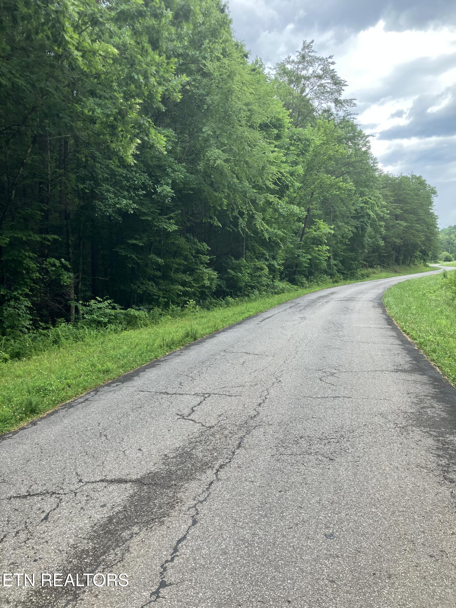 4 3 Point Road Vonore, TN 37885 - Photo 1 of 12 Tract 4-3 Point Rd-15
