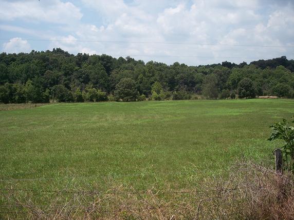 1969 Rock Bridge Road Bethpage, TN 37022 - Photo 3 of 3